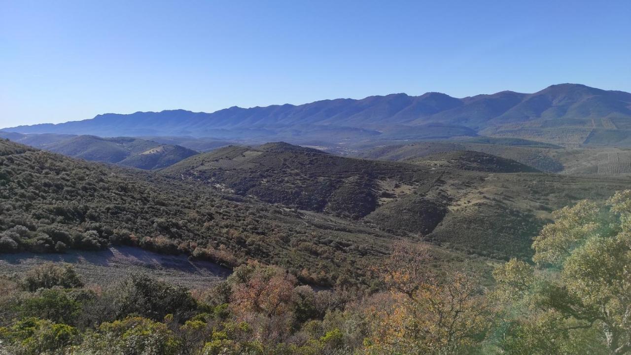 Casa Rural La Colmena Del Geoparque Navatrasierra Bagian luar foto
