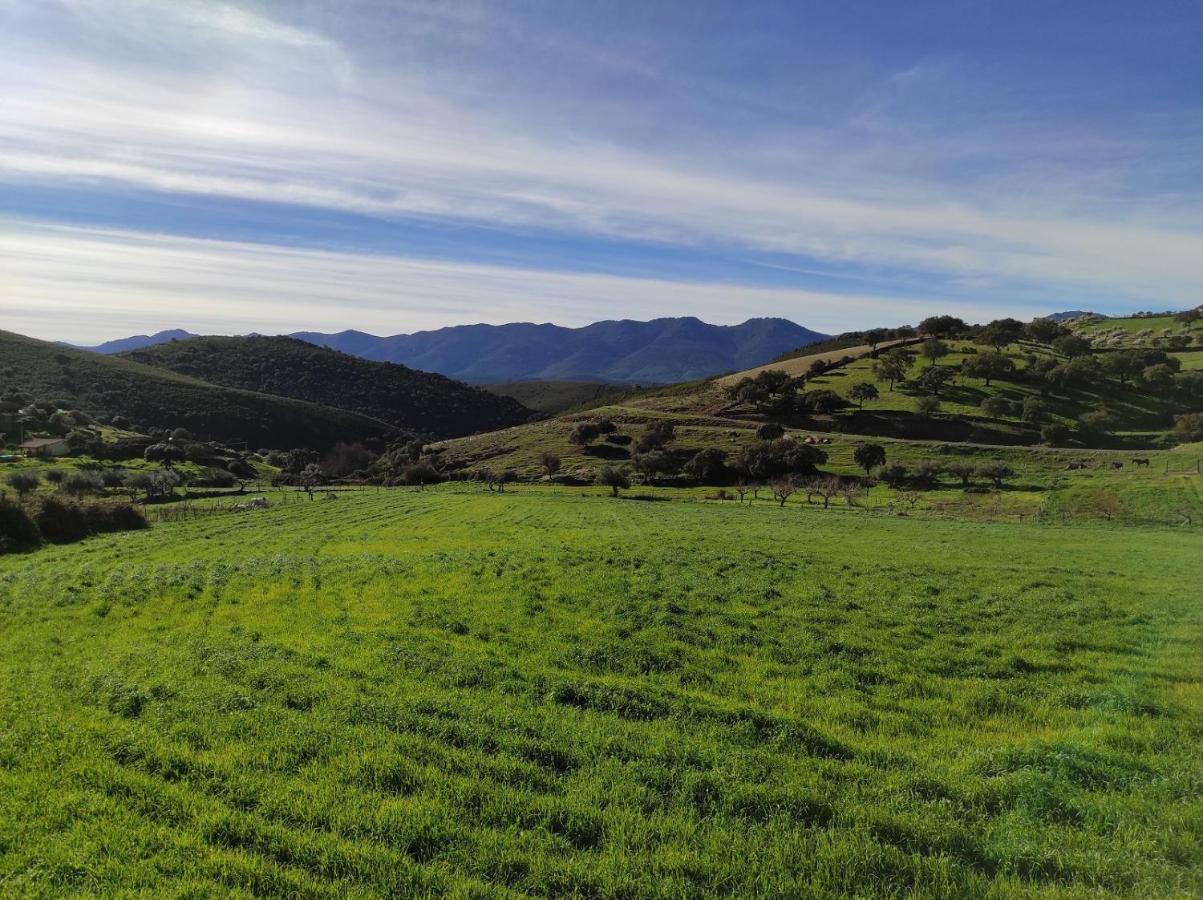 Casa Rural La Colmena Del Geoparque Navatrasierra Bagian luar foto
