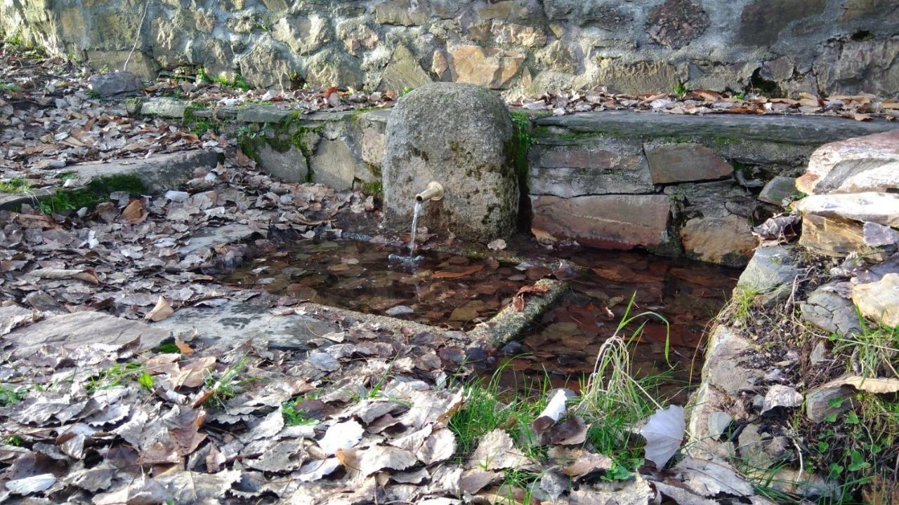 Casa Rural La Colmena Del Geoparque Navatrasierra Bagian luar foto